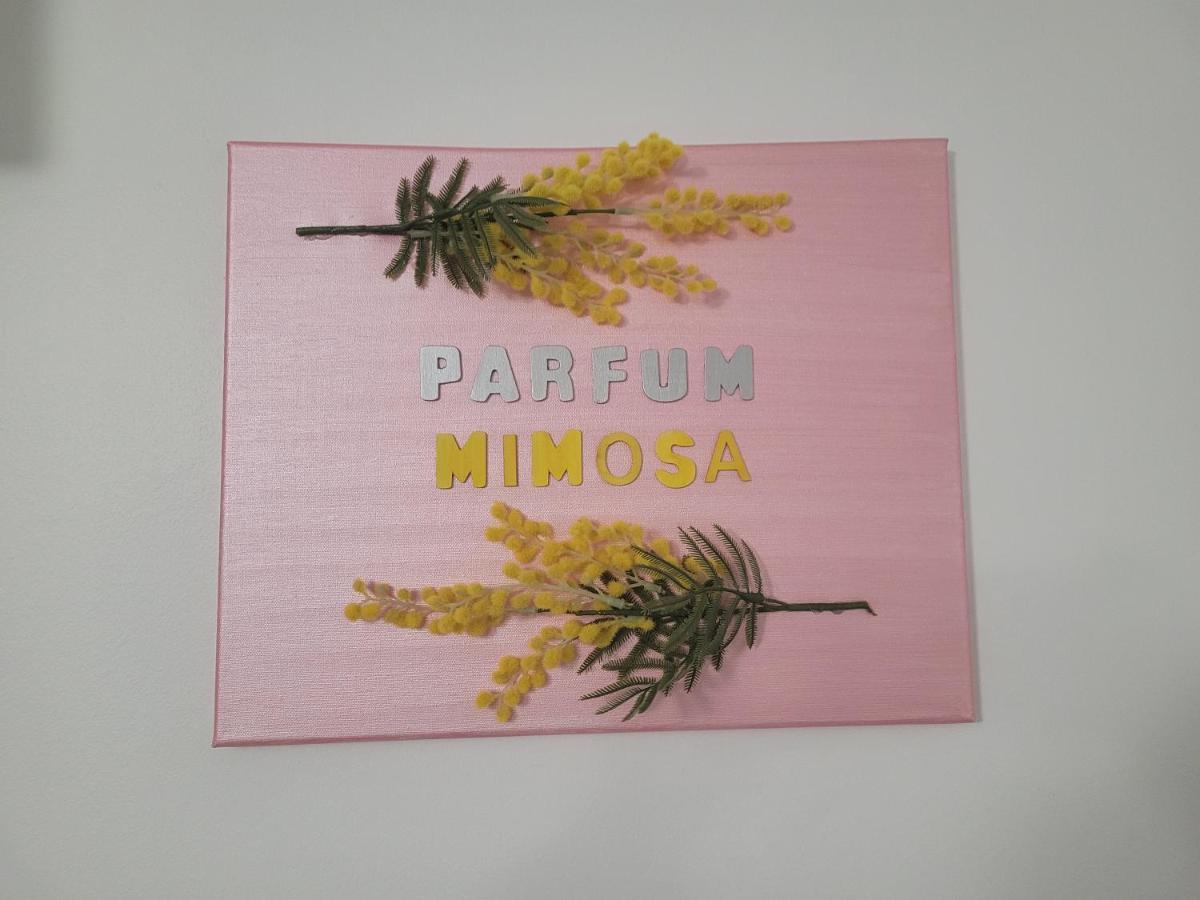 Parfum Mimosa Apartment กราส ภายนอก รูปภาพ